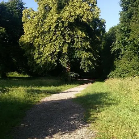 Apartment Fewo Central Essen