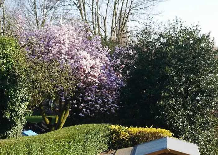 Apartment Fewo Central Appartement *