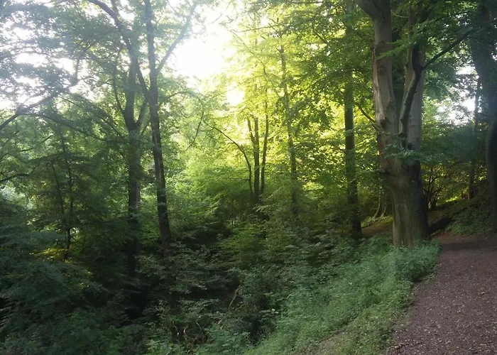 Apartment Fewo Central *